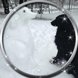 Meet your Posher, Janine